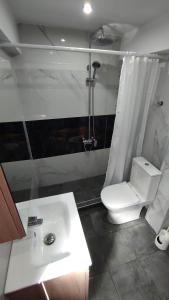 a bathroom with a toilet and a shower and a sink at Villa Miranda in Nikiti