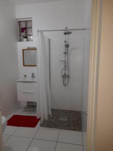 a bathroom with a shower with a toilet and a sink at Chez Lucile et Gilbert in Bouillante +27 photos