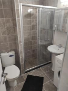 a bathroom with a shower and a toilet and a sink at Stan centar in Bitola