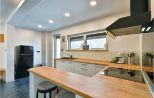 cocina con encimera de madera y nevera en Beautiful Home In Sveti Martin Na Muri, en Sveti Martin na Muri