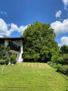 een grote boom in de tuin van een huis bij Ferienwohnung Sonnenaufgang Bad Tölz in Bad Tölz