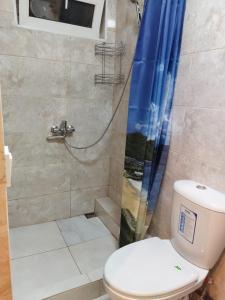 a bathroom with a toilet and a shower at Guest House on Rechnaya 14G in Lidzava