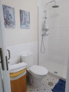 a white bathroom with a toilet and a shower at Apartamento Humboldt ,Island Paradise in La Orotava