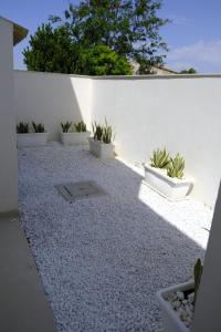 un patio con quattro piante in vasi bianchi di Villa San Lorenzo a Reitani