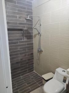 a bathroom with a shower and a toilet at Samana house in Santa Bárbara de Samaná
