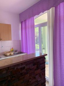 Kuchyň nebo kuchyňský kout v ubytování Arabela Apartments