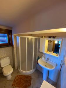 La salle de bains est pourvue d'une douche, de toilettes et d'un lavabo. dans l'établissement Ilice, à Zafferana Etnea