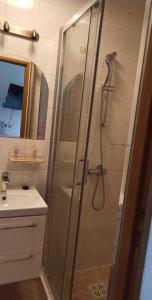 prysznic ze szklanymi drzwiami obok umywalki w obiekcie Zibi i Pod Topolami w Łazach