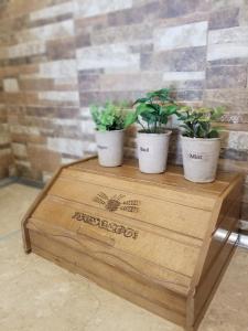 trois plantes en pot assises au-dessus d'une caisse en bois dans l'établissement Corfu Escape Five ( Leonidas Studios), à Agios Georgios Pagon