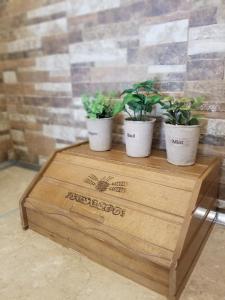 three potted plants sitting on top of a wooden box at Corfu Escape Five ( Leonidas Studios) in Agios Georgios Pagon