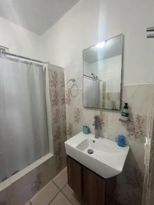 ein Bad mit einem Waschbecken und einer Dusche mit einem Spiegel in der Unterkunft New updated 2 Bedroom Apartment in Bayamon, Puerto Rico in Bayamon