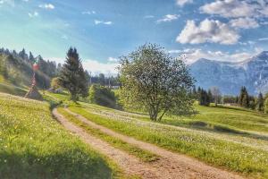 a dirt road in a field with mountains in the background at Casa nella Natura Il Risveglio degli Elfi in Pedavena
