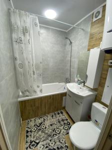 a bathroom with a toilet and a shower and a sink at Апартаменты Балхаш in Balqash