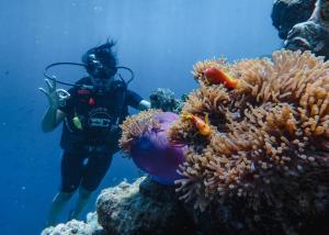 Hosté ubytování Furaveri Maldives - COMPLIMENTARY ROUND-TRIP SEAPLANE TRANSFER for two for a minimum of 5 nights or more from May 1st to October 31st, 2025
