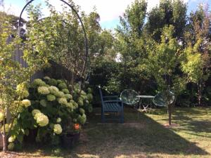 a garden with a blue chair and a bush at a'meadow in Trentham +9 photos
