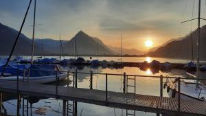 a group of boats docked at a dock at sunset at Lakeside Interlaken Jungfrau in Därligen