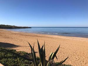 Ein Strand an oder in der Nähe der Ferienwohnung