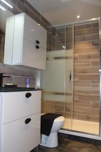 uma casa de banho com um WC e uma cabina de duche em vidro. em Un petit coin de paradis à Super Besse em Besse-et-Saint-Anastaise
