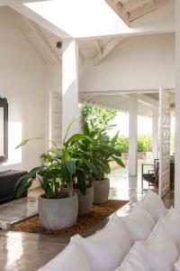 a living room with three potted plants on the floor at Arabella on Boossa in Galle