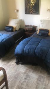 una camera con due letti e un gatto steso sul pavimento di Walnut Lodge Espas 2 bedroom, Barn Conversion a Espas