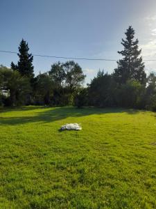 Vonkajšia záhrada v ubytovaní La ReStanza