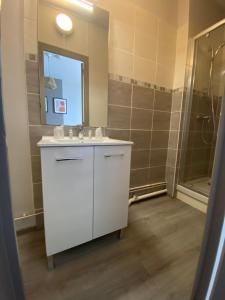 ein Badezimmer mit einem weißen Waschbecken und einer Dusche in der Unterkunft Le Relais de la Gare in Dole