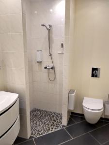a bathroom with a shower and a toilet at Hotel Frøslev Kro in Padborg