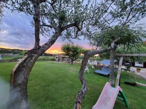 a yard with a tree and a pink chair at La corte delle fate in Lonato del Garda