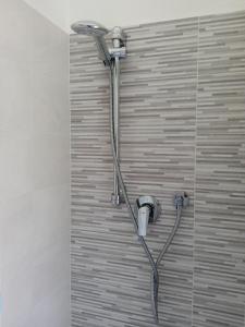 a shower with a shower head in a bathroom at Appartamento Prima Rosa in Primaluna