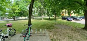 Jazda na bicykli v okolí ubytovania Happy Day - ApartamentyHappy pl