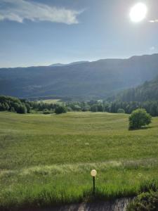 a golf ball in the middle of a field at La casa di Grace nella valle incantantata in Carano