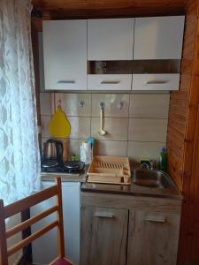Kuchyň nebo kuchyňský kout v ubytování Studio apartman Dragana + 10 fotografií