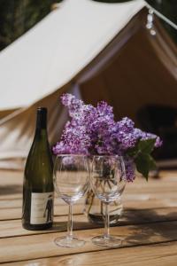 una botella de vino y dos copas y flores púrpuras en Falkeröd - Lyxig glamping i naturreservat ink frukost en Grebbestad