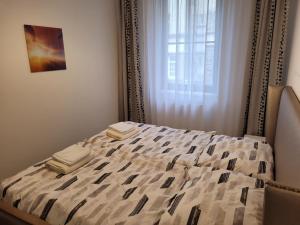 Postel nebo postele na pokoji v ubytování Apartment Svahova