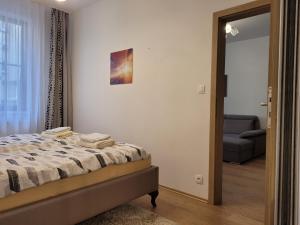Gallery image of Apartment Svahova in Karlovy Vary