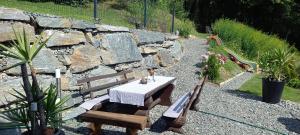 A garden outside Ferienhaus Blümel inkl. freier Strandbadeintritt