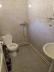 uma casa de banho com um WC e um lavatório em SADA Guesthouse em Vardzia