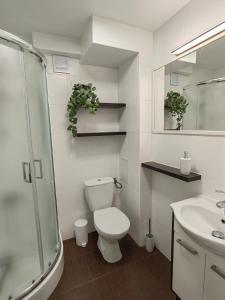 un bagno con wc, lavandino e doccia di Apartament 20tka a Szczawnica