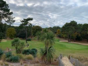 uitzicht op een park met een palmboom op de voorgrond bij AGREABLE T2 LISIERE DU GOLF LACANAU OCEAN in Lacanau-Océan