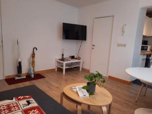 TV a/nebo společenská místnost v ubytování Lumineux appartement