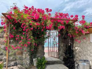 Gallery image of Hotel Orbita Ureki in Ureki