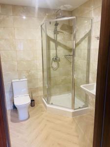 a bathroom with a shower and a toilet and a sink at Usadba Berezino in Zarvantsy