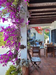un patio con un árbol con flores púrpuras en LOS MORALICOS AGUA AMARGA, en Agua Amarga