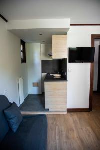 Chalet Appart'Hôtel l'Eau Vive的厨房或小厨房
