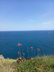 Gallery image of La Pantoufle Verte in Montauriol +35 photos