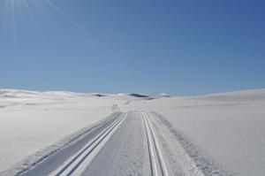 Snøya Lodge v zimě