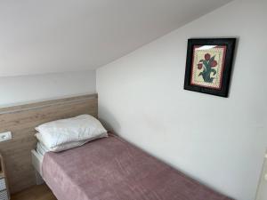 a small room with a bed and a picture on the wall at Apartments Vila Vino in Sveta Nedelja