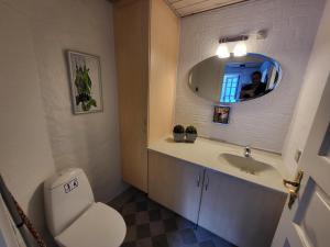 a bathroom with a toilet and a sink and a mirror at City Harbour House in Sønderborg