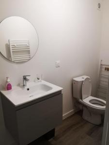 a bathroom with a sink and a toilet with a mirror at L'Olivier in Saint-Mitre-les-Remparts