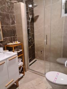 La salle de bains est pourvue d'une douche, de toilettes et d'un lavabo. dans l'établissement Apartments Zec, à Čanj